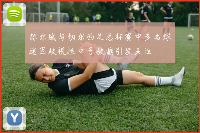 赫尔城与切尔西足总杯赛中多名球迷因歧视性口号被捕引发关注